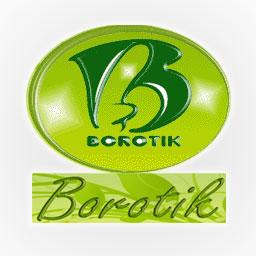 Borotik Kitchen Photo