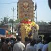 Decorated elephant for Pooram