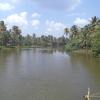 Kerala - Allepey- Way to Alappuzha Coast