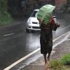 Woman covered with banana leaf from rain