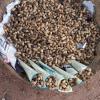 Groundnut for sale in Bangalore