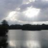 Light Breaks Clouds at Lalbagh Botanical Garden In Bangalore