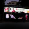 Cow Stands in Front of Bus Station in Bangalore