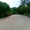 Road in Lal Bagh Garden Bangalore