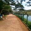 Walking track beside Lalbagh lake in Bangalore