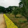 Beautiful Lalbagh Botanical Garden in Bangalore