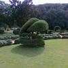 Green Python In Topiary garden