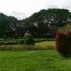 Colorful Topiary Garden in Lal Bagh Bangalore