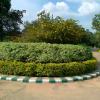 Green round about in Lal Bagh Bangalore