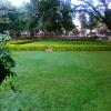 Greenery inside Tipu's Summer Palace Bangalore
