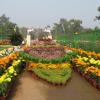 Flowers Exhibition in Baradih, Jharkhand