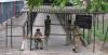 Central Industrial Security Force check point at Chandigarh Secretariat