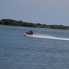 A speed boat moves on lake at Muttukadu 