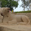 Pancha rathas Nandhi sculpture in Mamallapuram