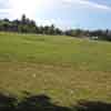 Mahabalipuram lawn grass spot