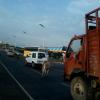 Cow crossing the Kamarajar Road. Chennai
