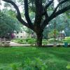 K.K.Nagar Sivan Park, Chennai