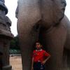 Statue of Elephant @ mahabalipuram