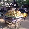 Tender coconut loaded on vehicle for Sale at Anna Nagar
