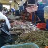 Fishermen selling fish at Market, Vanagaram
