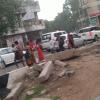Dangerous way of crossing road near MMDA , Chennai