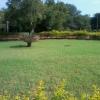 Beautiful Lawn at Gandhi Mandapam, Guindy