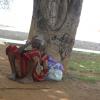 A old lady sleeping under the tree in Marina in Chennai