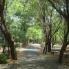 Walkway at Arignar Anna Zoological park in Chennai