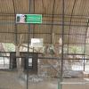 White Bellied Sea Eagle cage view at Vandalur-Chennai