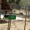 Place for Cassowary bird at Vandalur... Chennai