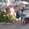 Bunch of Tender Coconut for Sale, Velachery