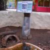Water Monitor at Guindy National Park in Chennai...