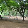 Guindy Childrens park inner view - Chennai...