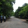 Walkway at Anna University - Chennai...