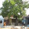 Sree Annamalaiyar sannathi at Thiyagarajaswamy temple at Tiruvottiyur...