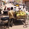 Green Coconut seller - Chennai...