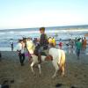 Horse Riding on Marina Beach, Chennai