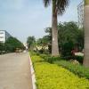 College Road - SRM campus@chennai