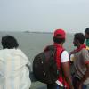 Taking a look at the Pulicat lake near Chennai