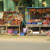Small shop on the side of Rajendra Prasad Road, Hastinapuram