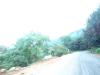 Chikkamangalore roads