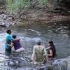 Taking a swim in the local river at Bhadra Wildlife Sanctuary