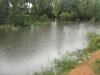 Small Lake in Tirupadiripuliyur