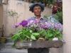 Darjeeling Florist
