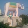 Elephant Statue in Datia
