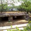 A Lion Is Sleeping in this Cave, Delhi Zoo
