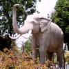 Statue Of An Elephant At Nagpal Temple Garden