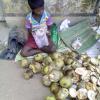 Child Selling Palm in Footpath,Durgapur.