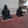 Monkeys at Sugati Beach Resort, Diu