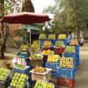Mangoes For Sale in Govindpur